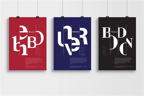 Image result for Classification Poster GCSE