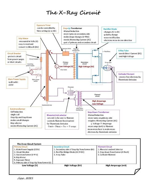 The X-ray Circuit Section - Etsy | Radiology student, Radiology ...