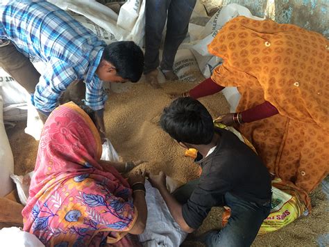 In a village in Uttar Pradesh, food is always on the minds of its residents