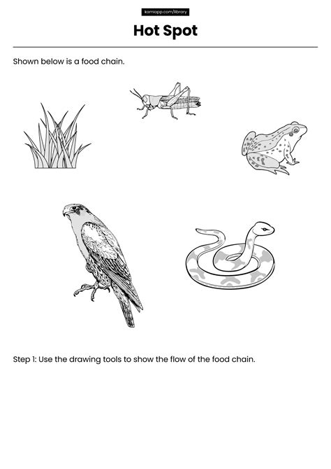 Texas Staar Sample Questions