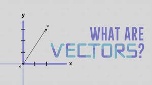 Image result for What Is Vector
