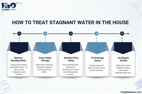 What Is Stagnant Water? Dangers and How to Treat It | H2O