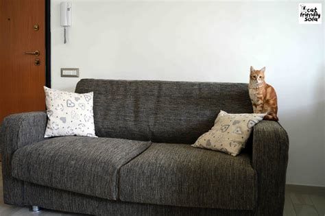 Cat Friendly Couch Material at Walter Gallup blog