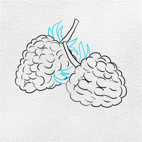 How To Draw A Raspberry How To Draw A Raspberry Step By Step