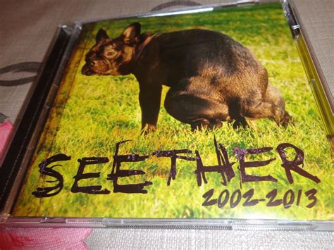 Image result for Seether CD