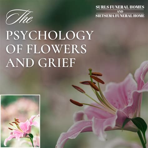 Surls Funeral Homes & Sietsema Funeral Home | Iowa Falls IA