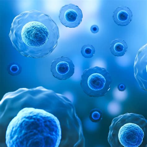 Image result for Adobe Media Encoder Install