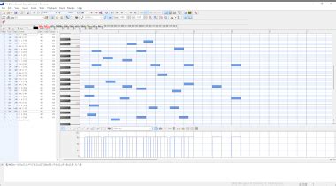DMS File 的图像结果