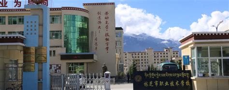 西藏学历提升_拉萨自考成人教育_西藏教育培训机构-学来帮职校网