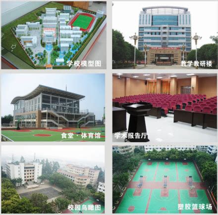 招生简章- 柳州地区民族高级中学校友网