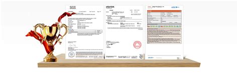 Company Overview - Ningbo General Union Co., Ltd.