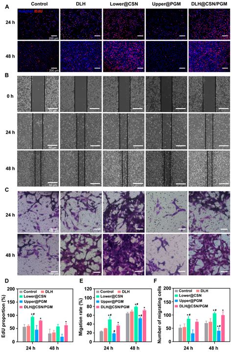 Biodegradable Double-Layer Hydrogels with Sequential Drug Release for ...