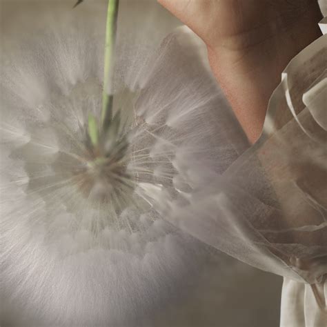 Image result for Objects for Modeling and Texturing