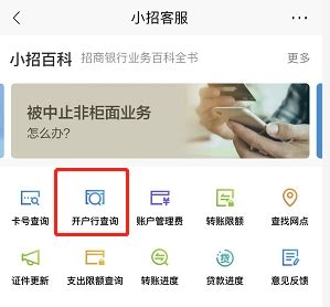 招商银行怎么能查到自己开户行支行名称_百度知道