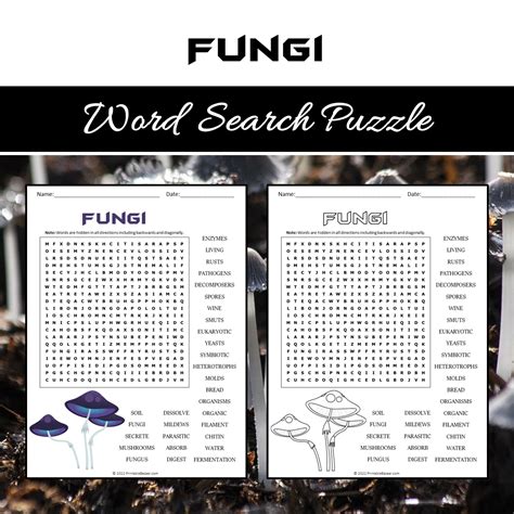 Fungi Word Search Puzzle Worksheet PDF – PrintableBazaar