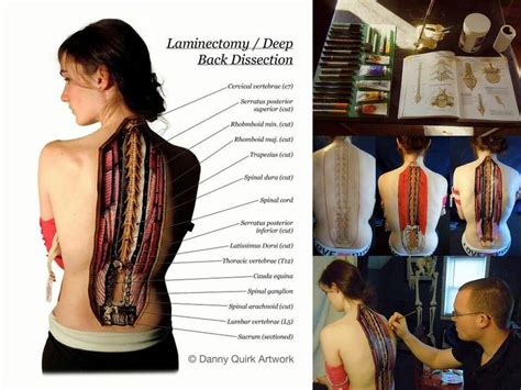 Image result for Deep Tissue Lower Back