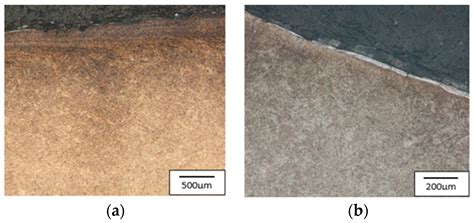 Possibilities of Increasing the Durability of Punches Used in the ...