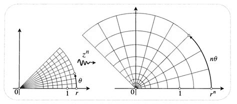 Image result for Complex Exponent