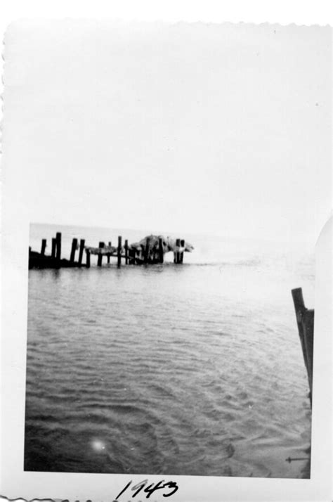 Trade Old Bay 的图像结果