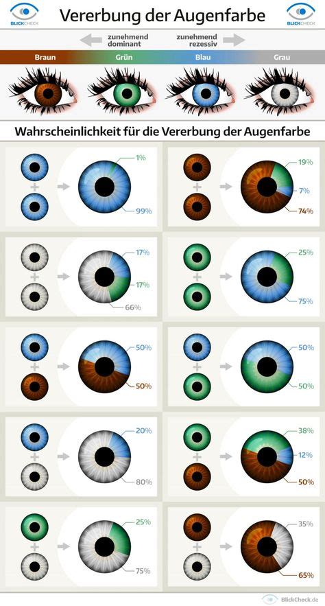 Eye Color Chart Genetics 的图像结果