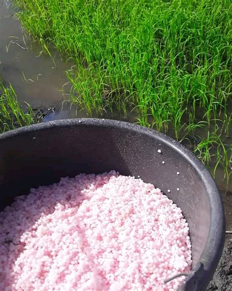 manfaat unsur bauksit