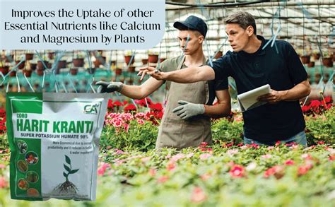 CA Coromandel Agro India Company Harit Kranti Super Potassium Humate (4 ...