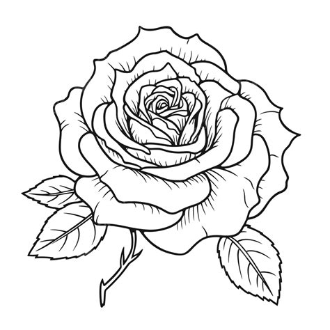 Dibujos Para Colorear Flores Rosas Dibujos De Flores Para Colorear