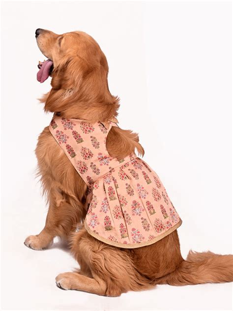 Paws – Stylish Dog Clothes & Cat Clothes for Pets Online – vastramay