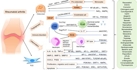 Rheumatoid Arthritis Hormones HRT Associated With 46% Increase In