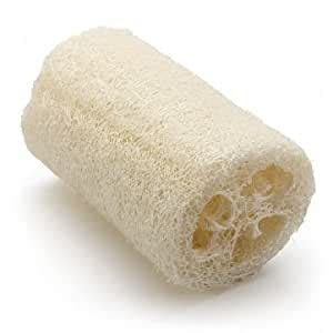Buy Natural Loofah Shower Wash Body Sponge Scrubber Spa(one) Online at ...