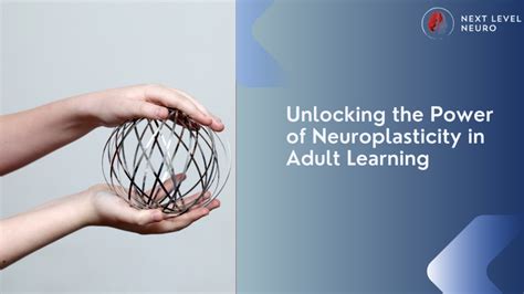 Image result for Neuroplasticity and Learning