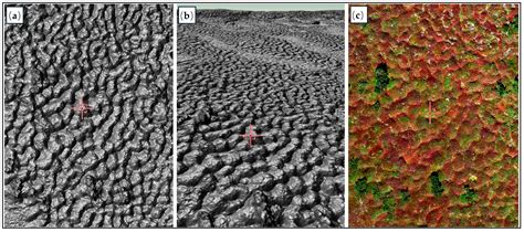 Mapping Earth Hummocks in Daisetsuzan National Park in Japan Using UAV ...