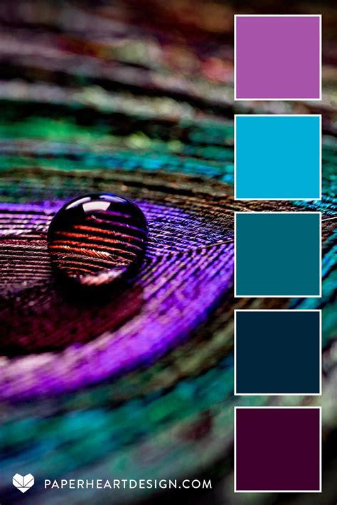 Best 12 Peacock Wedding Color Palettes – Artofit