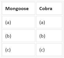 NCERT Solutions for Class 6 English Honeysuckle - Chapter 10 - The ...