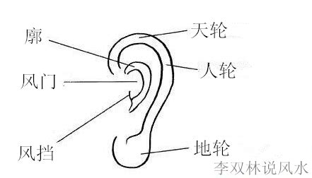 面相说｜耳大有福？10种耳朵类型看懂你的福气和爱情