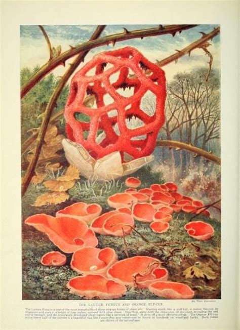 scientific illustration jobs near me