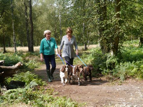 Local Siting People 的图像结果