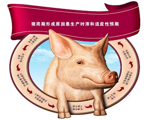 中国是什么时候开始把猪养起来吃肉的？说出来你可能不信