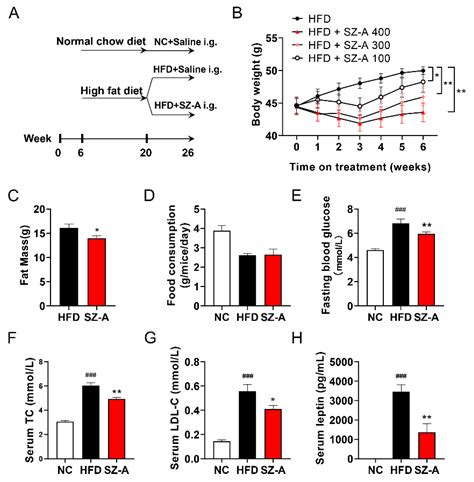 Ramulus Mori (Sangzhi) Alkaloids Alleviate High-Fat Diet-Induced ...