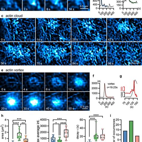 Image result for Loss Development Method and Bf Method