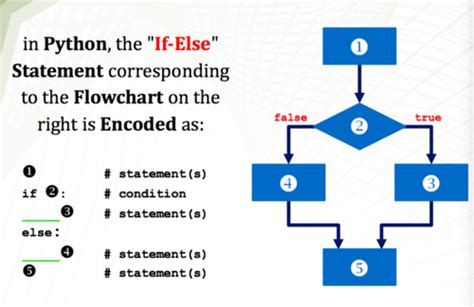 Image result for Nested Branching Statements Python Example