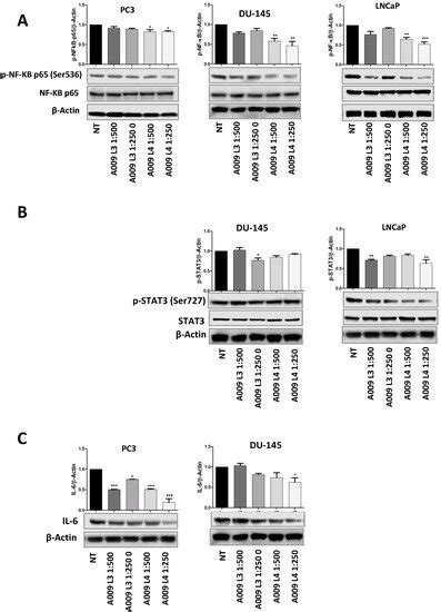 Downregulation of Pro-Inflammatory and Pro-Angiogenic Pathways in ...