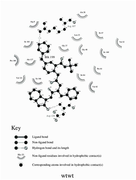 Image result for Ligplot Online Server