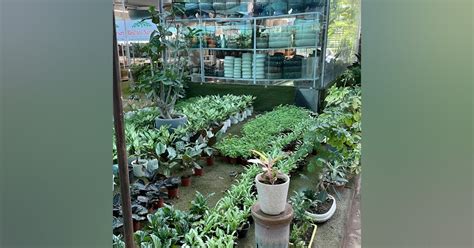 Rajdhani Nursery | LBB