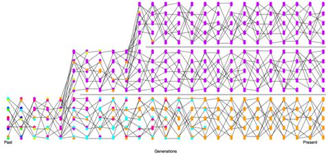 Image result for Two Types of Incomplete Lineage Sorting