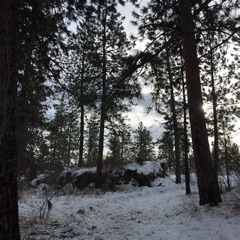 TREATY ROCK PARK (2026) All You Need to Know BEFORE You Go (with Photos ...