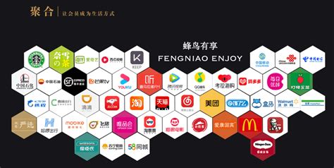 蜂鸟发现科技公司logo设计北京智尚力合创意_小刀创意-站酷ZCOOL