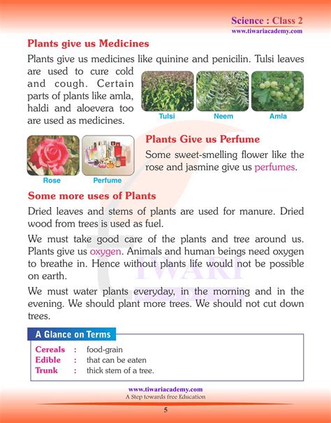 Image result for Class 2 Science Plant