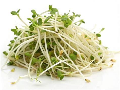 Are Mung Bean Shoots Low FODMAP? The Full Guide