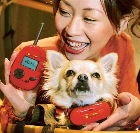 Dog Translator Machine 的图像结果
